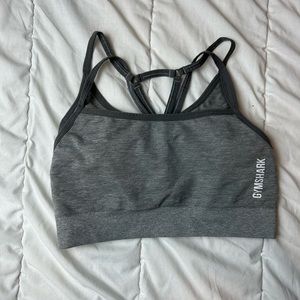 Adapt Seamless Sports Bra